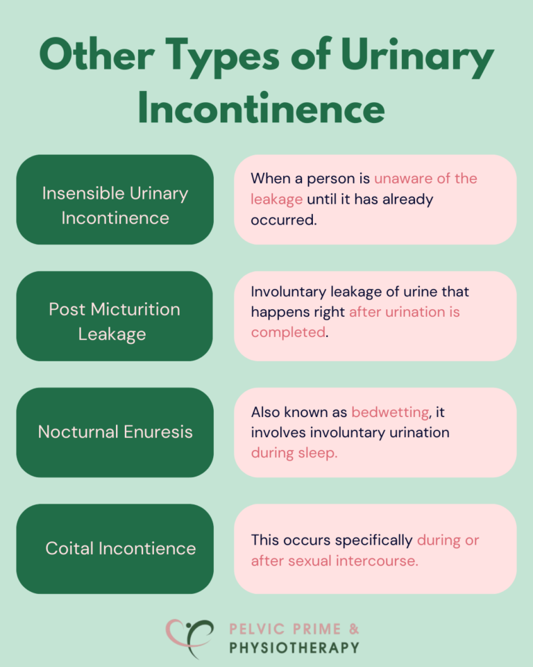 Urinary Incontinence: What It Is And How We Can Help You | Pelvic Prime ...